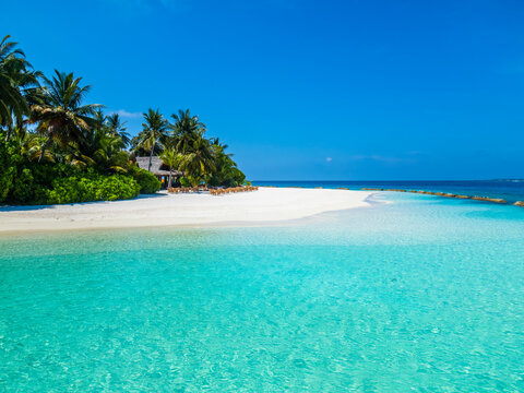 Maledives, Ross Atoll, beach bar and sandy beach with palms