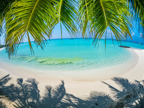 Maledives, Ross Atoll, beach