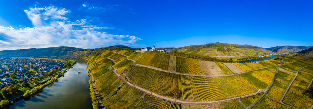 Germany, Rhineland-Palatinate, vineyards and Marienburg near Puenderich, Moselle river