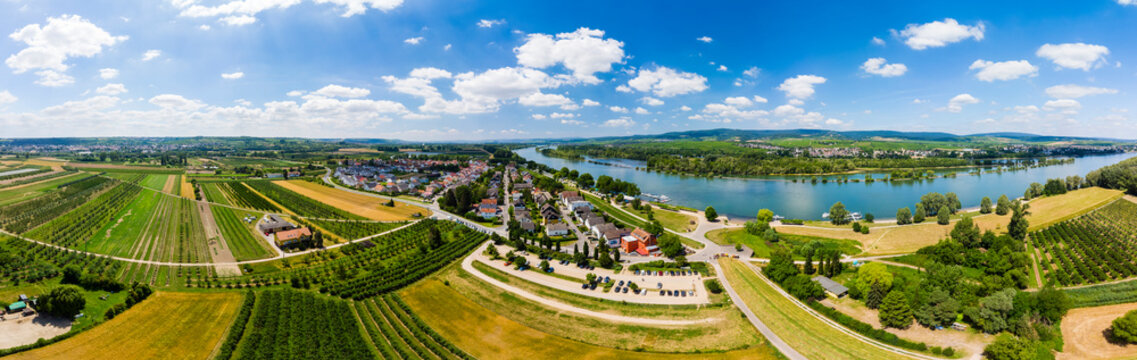 Germany, Rhineland-Palatinate, Aerial view of Heidesheim am Rhein, Rhine river, Eltville and Erbach