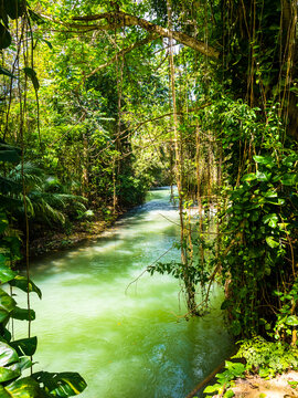 Jamaika, Region Montego Bay; Martha Brae river