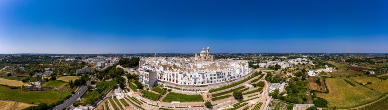 Italy, Locorotondo, Aerial panorama of clear blue sky over vineyards in front of white town buildings