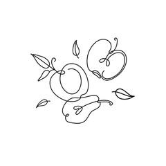Hand drawn apples and pear illustration