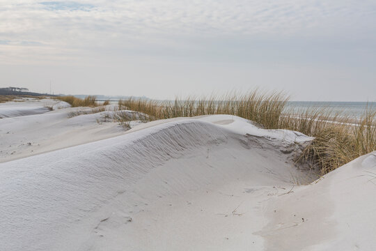 Germany, Mecklenburg-Western Pomerania, Darss, Baltic Sea, West beach, dune