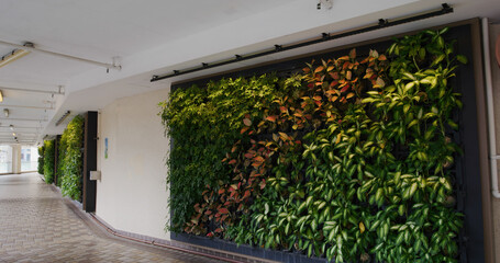 Green plant wall at outdoor building