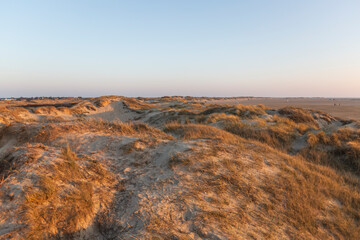 Denmark, Romo, Clear sky over beach dunes