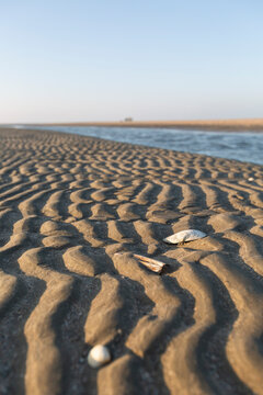 Denmark, Romo, Rippled beach sand