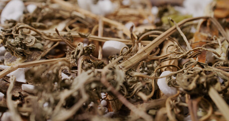 Traditional culture chinese herbal medicine