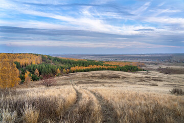 Autumn landscape. View from the hill to the colorful, multi-colored forest. The road descends into...
