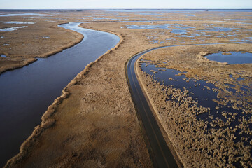 USA, Maryland, Cambridge, High tide flooding from rising sea levels at Blackwater National Wildlife Refuge