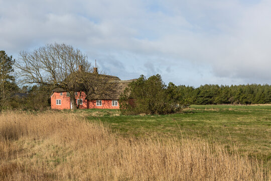 Denmark, Romo, Secluded house with thatched roof