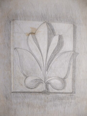 Pencil drawing of a grape leaf. Academic drawing at art school