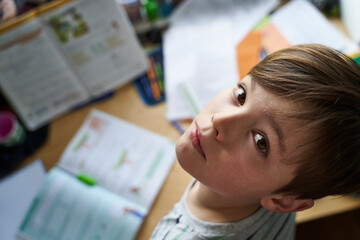 Portrait of boy doing homework