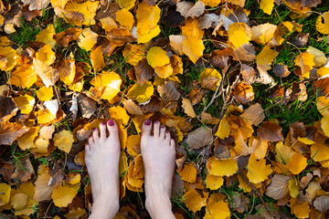 Close-up of woman's feet in autumn leaves