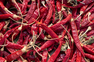 Fototapeta premium Food background with dried red hot chili peppers
