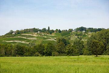 Fototapeta na wymiar Landschaft bei Naumburg Saale Weinberge