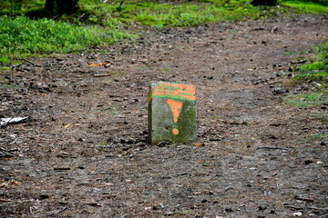 A close up on a concrete block with an exclamation mark painted on it with orange paint spotted in the middle of a dense coniferous forest on a dirt path leading somewhere in Poland