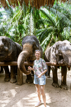 Portrait of smiling woman feeding elephants in sanctuary, Krabi, Thailand