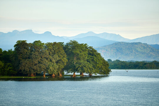 View to penisula at Udawalawe Reservoir, Udawalawa National Park, Sri Lanka