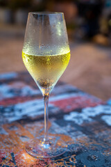 One flute glass of cold sparkling wine champagne brut
