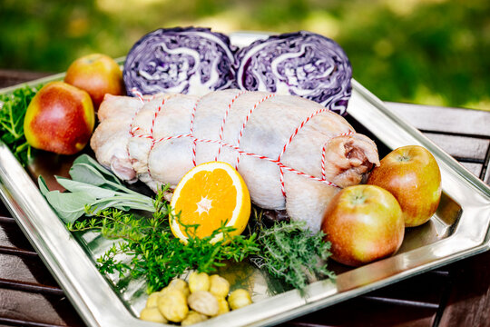 Austria, Tray with raw goose meat,ÔøΩred cabbage, herbs and fruits