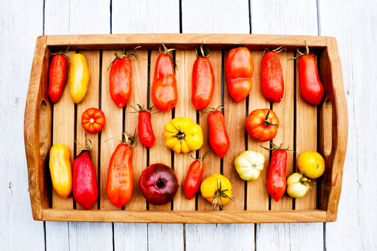 Tray with various tomatoes, stage of ripeness, overripe, ripe, rotten, mouldy