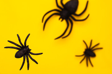 Flat lay levitation of tree black horror spiders of different sizes directions on yellow backdrop with copy space. Halloween decoration spooky background concept for holidays