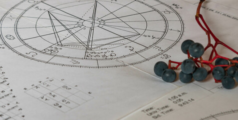 Printed natal chart with blueberries of virginia creeper in the foreground