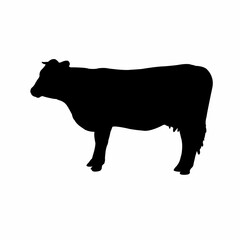 a cow body silhouette vector