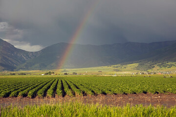 Rainbow over fertile Gallatin Valley in Belgrade, Montana