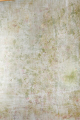 Fototapeta premium fast food, appetizing tasty pizza with ingredients on a light background