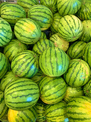 Obraz premium Sandía