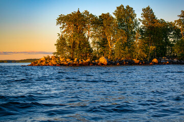 A beach with rocks and coniferous trees in the north