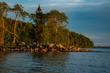 A beach with rocks and coniferous trees in the north