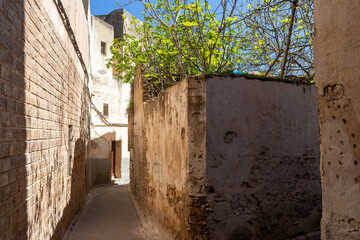 Africa city old town Fez Morocco traditional tourist oriental street leather roof view arabic...
