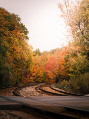 railway in autumn. with beautiful fall colors. 