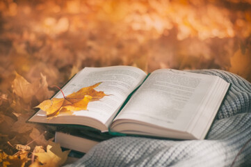 Naklejka na ściany i meble seasonal autumn reading of books, open book lies on a warm scarf against a background of yellow leaves. High quality photo