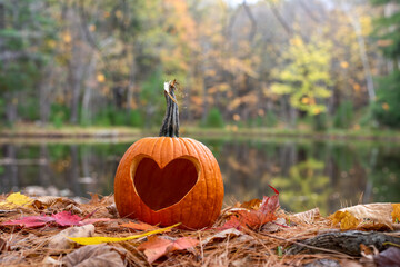 Pumpkin carved with a heart shape on a bed of leaves in autumn - 462709699