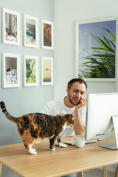 Work from home on covid-19 lockdown: millennial man with cat on workplace stroking pet distracted from programming or entrepreneurship occupation. Successful freelancer guy in comfortable home office