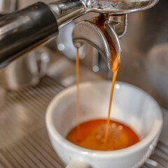 One white cup of espresso in the coffee maker. Making coffee on a professional coffee machine in a coffee shop