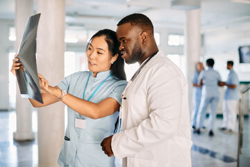Fototapeta premium Two medical students examine X-ray scan while being on internship at university hospital.