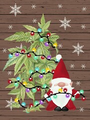 A Cannabis Christmas Tree has decorated with colorful Christmas lights by little gnome in front of the wooden wall, among with white snowflakes.  Digital hand drawn and painted.