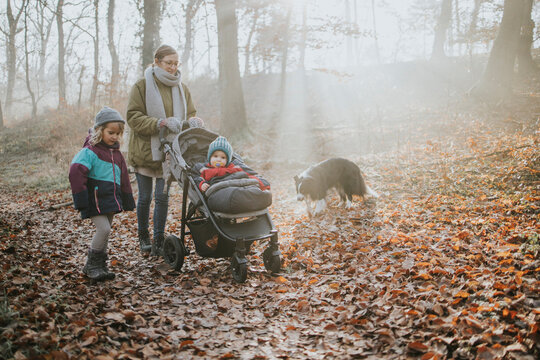 Mother with children and border collie during forest walk in autumn