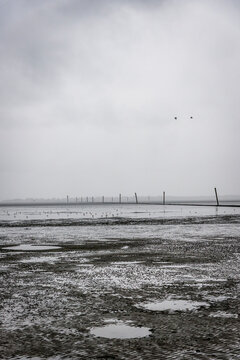 Germany, Nessmersiel, mudflat