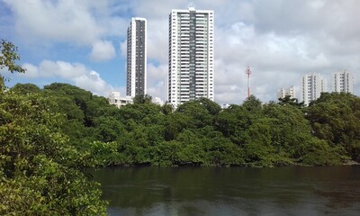 Fototapeta premium skyscrapers