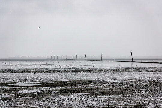Germany, Nessmersiel, mudflat