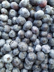 Fresh Blueberry Background. Texture blueberry berries close up. Sprinkle blueberries. Ripe blueberries with copy space for text. Fresh blueberries scattered.