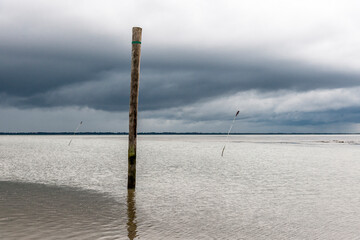 Germany, Nessmersiel, wooden stake in the sea