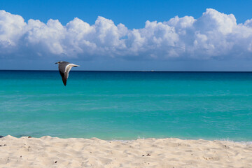 Cancun Beach