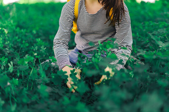 Girl picking clover, partial view